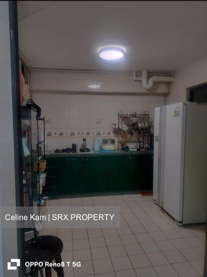 Blk 453 Choa Chu Kang Avenue 4 (Choa Chu Kang), HDB 5 Rooms #560519541